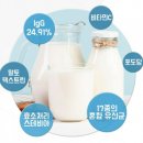 초유프로틴 추천 ! 천연채 초유단백질 분말 후기♡