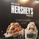 2016 커피엑스포 / 까페창업 / 코코넛음료