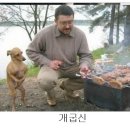 거보주 이미지