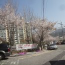 2018.4.3순천매곡&#39;기독교박물관&#39;-난봉산성-342.3봉~난봉산-국사봉-옥녀봉-수리봉-구계버스정유장