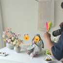 하율이네 | 하율스튜디오 백일사진 후기 | 위례 베이비 스튜디오에서 한복 입고 웃음 가득했던 100일