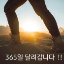에스케이씨행복썬팅 이미지