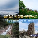 ★8/28(금무) 설악산 대청봉+공룡능선(블야100)-(40인승)산행안내/좌석지정★ 이미지