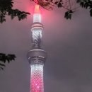 아울리버 네이버블로그