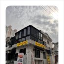 한라산도새기 이미지