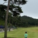 카페독채 이미지