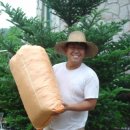 여주-0909 이미지