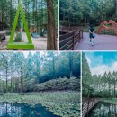 8월23일(토) 코레일 연계투어 대전여행(장태산휴양림-유성 온천공원 족욕제험장)마감 이미지