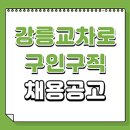 금화부동산중개 | 강릉교차로 구인구직 빠른 일자리 바로가기 (신문보기, 청소, 경비, 노인, 주부 알바 등)