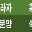 서연약국 이미지