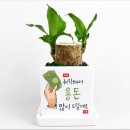 조아그린 이미지