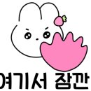 백제무도스쿨 이미지