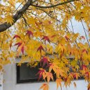 인천광역시교육청계양도서관 | 24시간 이용 가능한 도서대출, 은행대출 아니고 교양과 지식 쌓는 도서관 야간 심야 대출 하는 방법