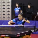 신유빈 카카오 검색결과