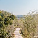 영흥수목원 전시온실 이미지