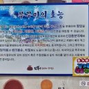 만복한쭈꾸미 낙지볶음 | 경산 만복한 만복이 쭈꾸미 낙지볶음 진량점