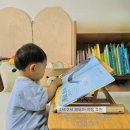 그레이트북스 도레미곰 세이펜스티커 1세 2세 유아전집 영유아책 3개월후기