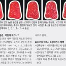 더마블링 이미지