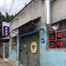 대구 종로 고기집 몽실집