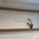 숲(sooop) | 울산 북구 카페 추천 ) 북구 상안동 숲 (Sooop) 아이랑 카페