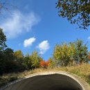 우이동소문난족발 이미지