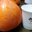 김성환 농장 이미지