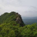 학일천 티스토리