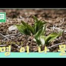 춘자농장 이미지