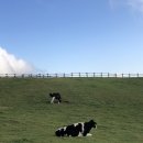 한신목장 이미지