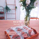 플레드쥬어 이미지