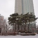 호반114 공인중개사사무소 이미지