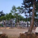 강라행정사사무소 이미지