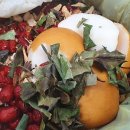 다시마 흑염소 이미지