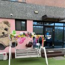 세명자동차정비 | 가평 키즈 풀빌라 추천 후기 | 엄마아빠도 너무 편한 '나나키즈풀빌라' , 무료조식까지 무한감동이였던...