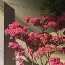 [40주 4일차~40주 5일차]이대서울 1박 2일 걸린 초산 유도분만 후기 (가족분만실&amp;84병동 1인실)