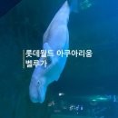 아프리카안경(잠실롯데월드몰점) | 롯데월드 아쿠아리움 벨루가 보러 다녀온 후기