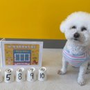 수원-0879 이미지