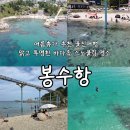 물안민박 | 여름휴가 장소 추천 울진여행 역대급 시야의 바다 스노쿨링 명소 봉수항
