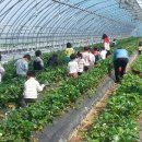 원광농장 이미지