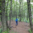 큰재 주차장 이미지