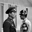 동강장식