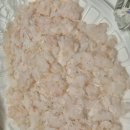 만나유통 | 보령활어유통 모듬회 또또또 먹기, 리뷰이벤트로 아나고까지 챙겼어요!