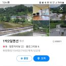 7월 6일 1박 2일 화천 민물고기낚시 및 다슬기잡으면서 튀김..매운탕 먹기여벙~^^ 이미지