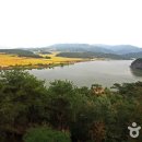 유유한 Daum카페