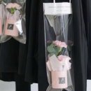 꽃백한송이