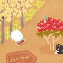 도노 이미지