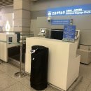 프리돈가스 | 광주 프리다이빙 프리프리와 함께한 필리핀 코론 투어