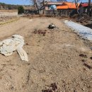 푸른들공인중개사사무소 이미지