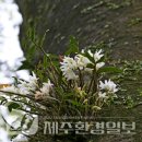 한라전설(주) 이미지