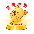 이솔푸드 이미지